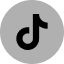 TikTok Icon